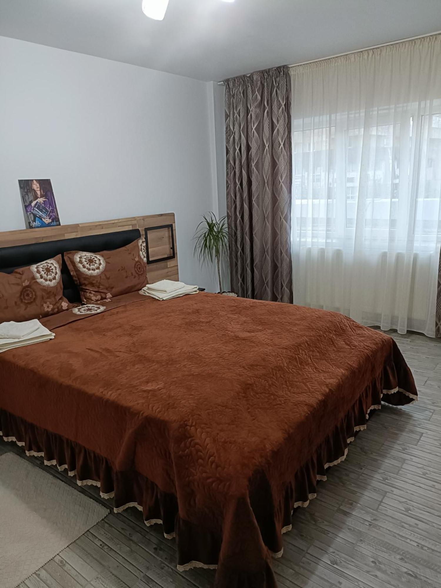 Apartament Manu Tg Neamt Търгу Нямц Екстериор снимка
